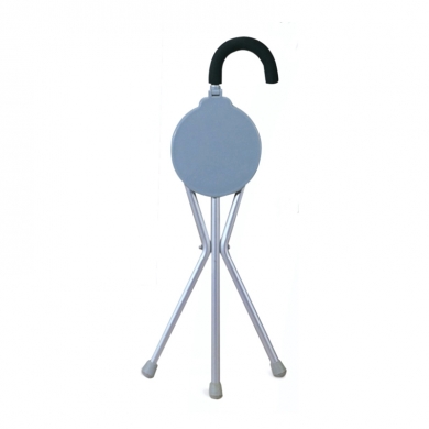 Seat Cane
