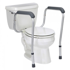 Toilet Frame rails